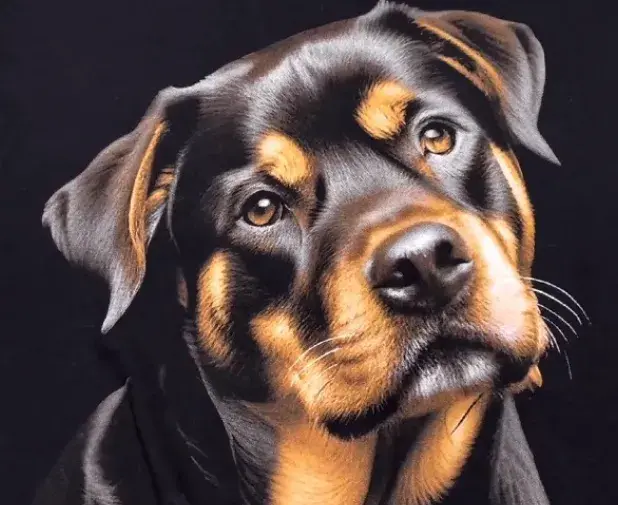 curso_online_estampas_realistas_rafael_roan_lab_gênesis_silktv 4