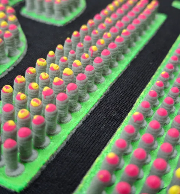 lab_g_nesis_turmas_23