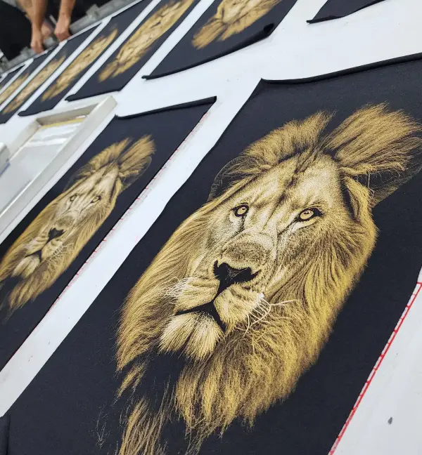 imagens_lab_g_nesis_1